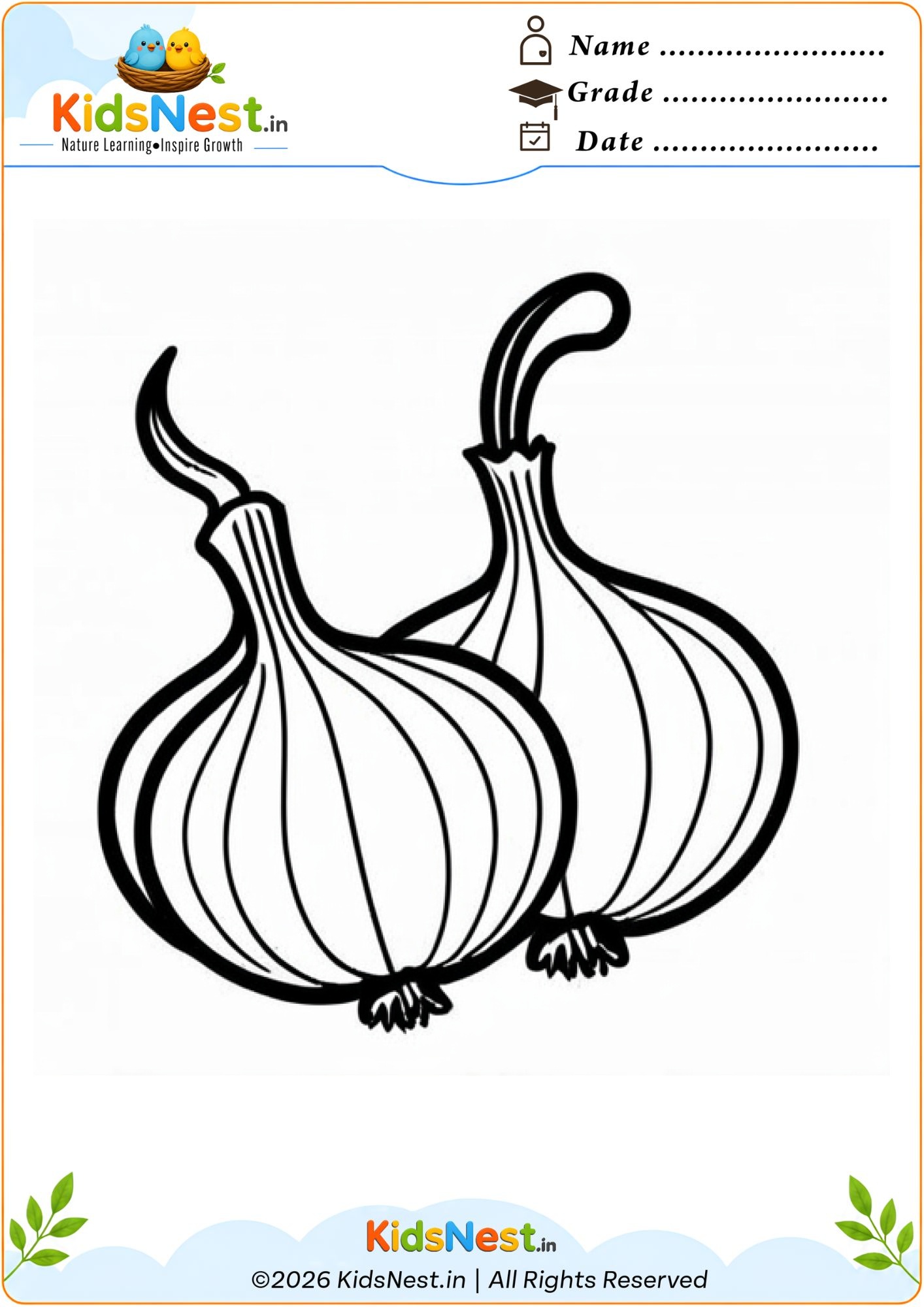 Free Printable Onion Coloring Page for Kids | Educational Art