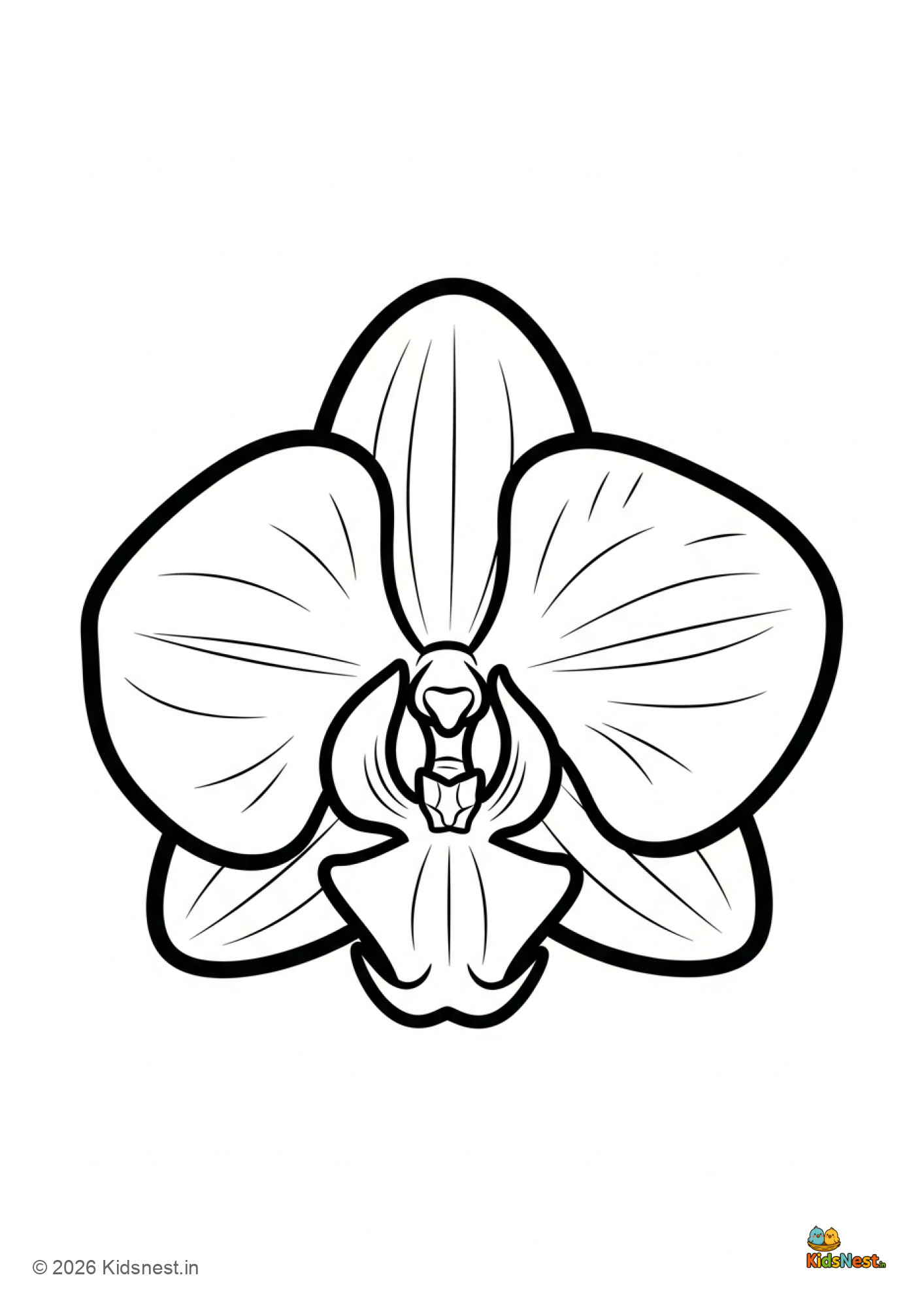 Orchid Flower Coloring Page for Kids | Free Printable PDF