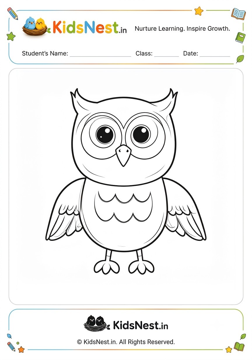 Free Owl Coloring Worksheet for Kids | Printable PDF