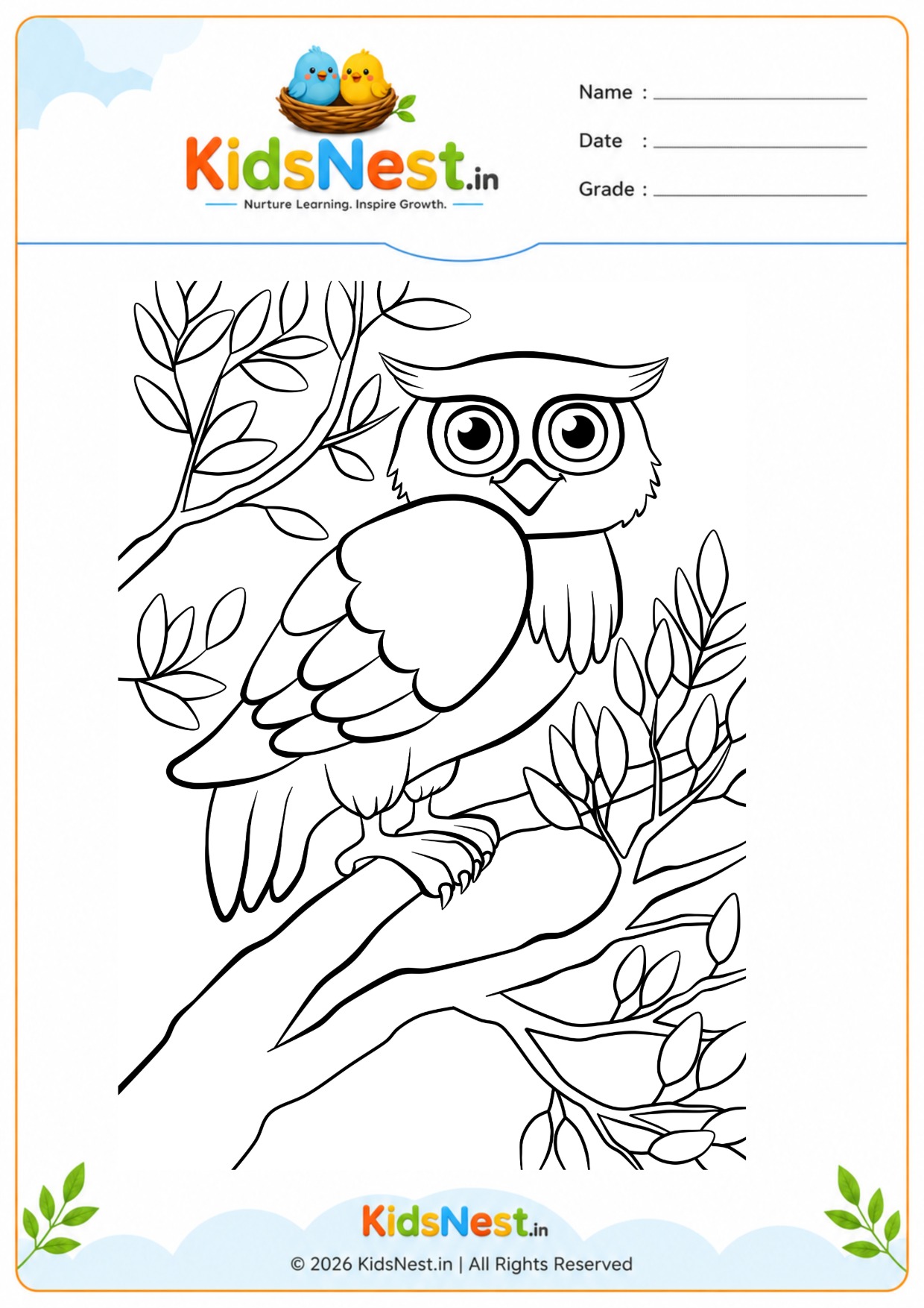 Owl on a Branch Coloring Page for Kids | Free Printable