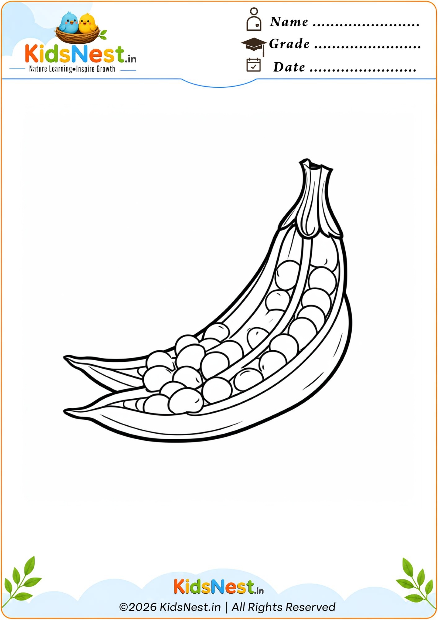 Pea Pod Coloring Page for Kids | Free Printable Worksheet