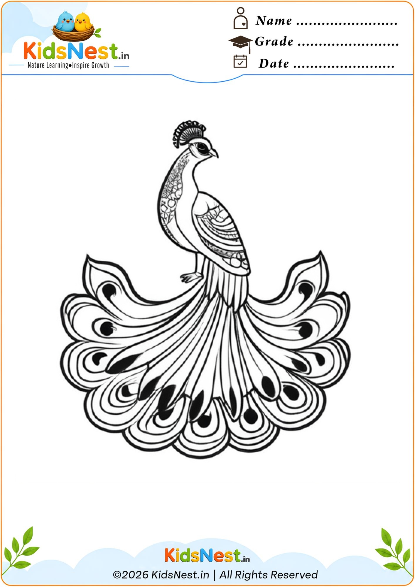 Free Peacock Coloring Page for Kids | Printable Activity Sheet
