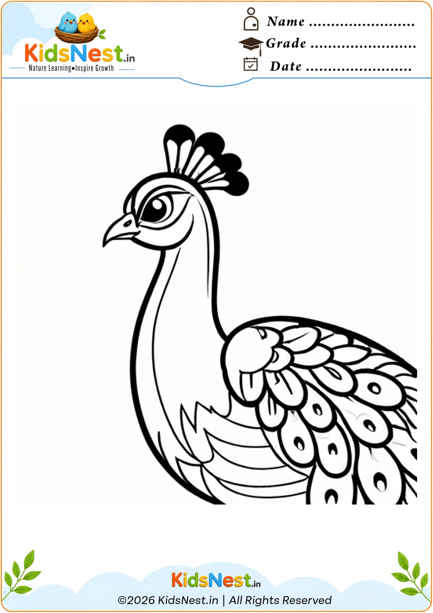 Peacock Coloring Worksheet for Kids | Free Printable PDF