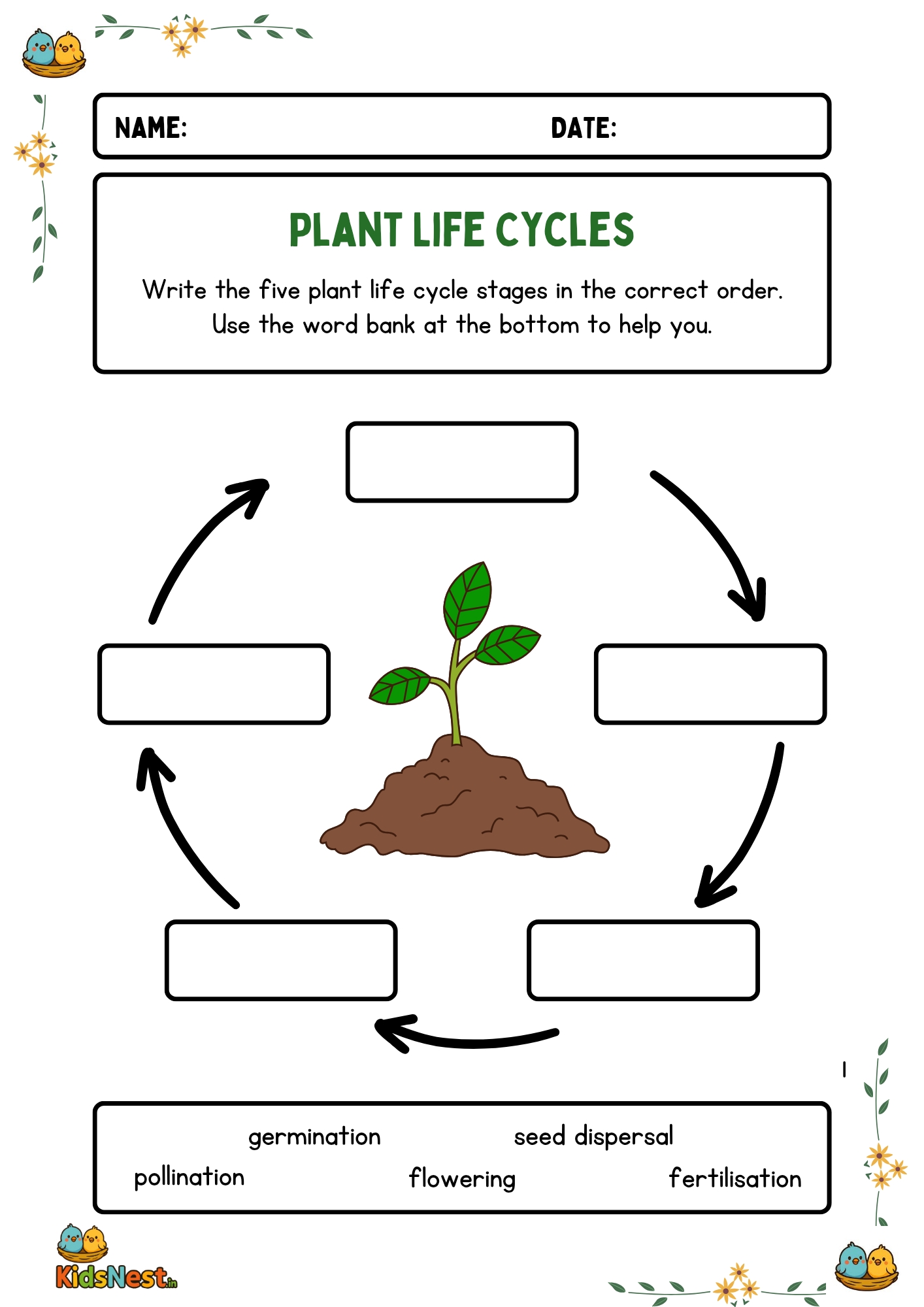 Plant Life Cycle Activity for Kids | Printable Worksheets
