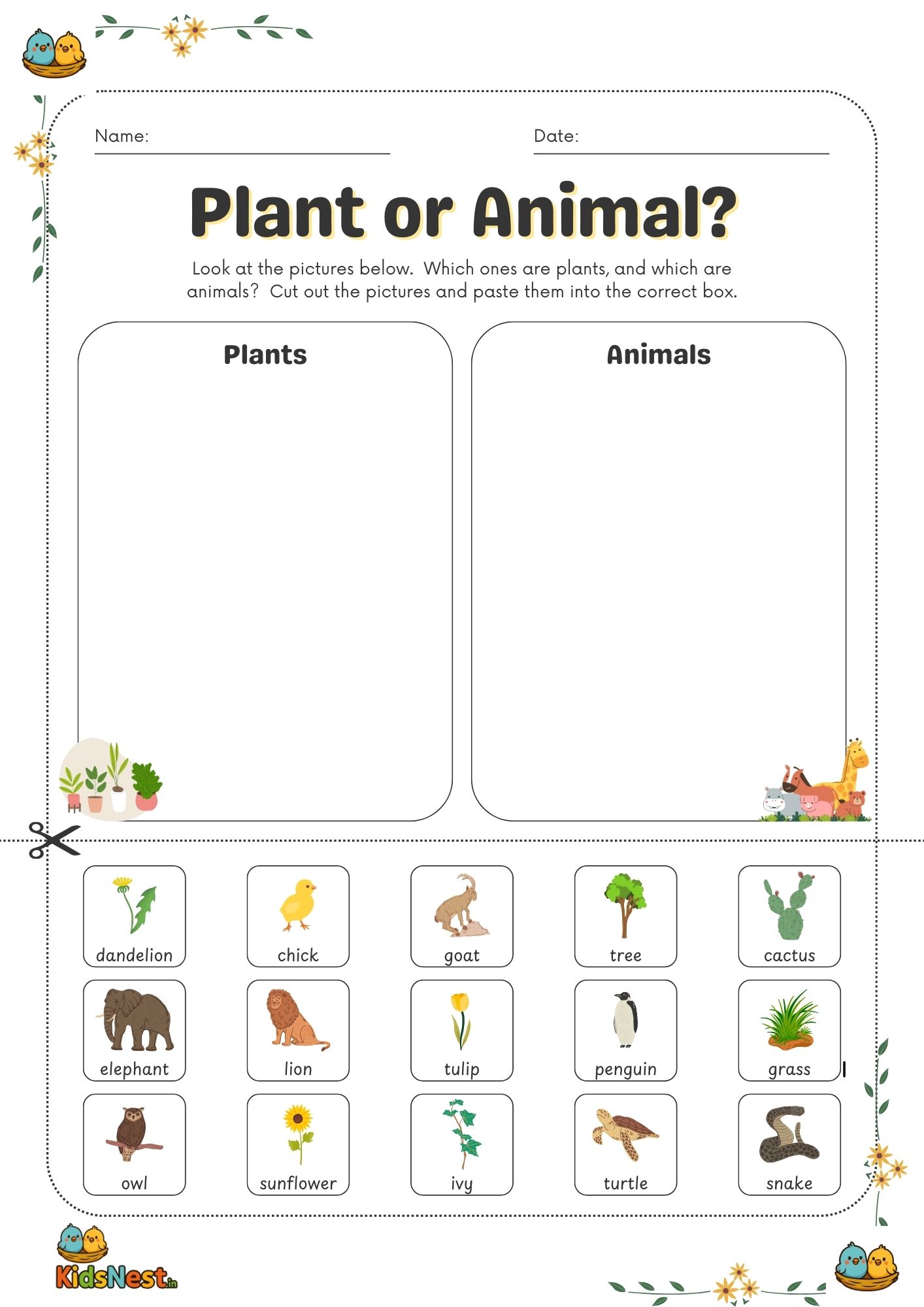 Plant or Animal Sorting Activity | Kids Printable Worksheet