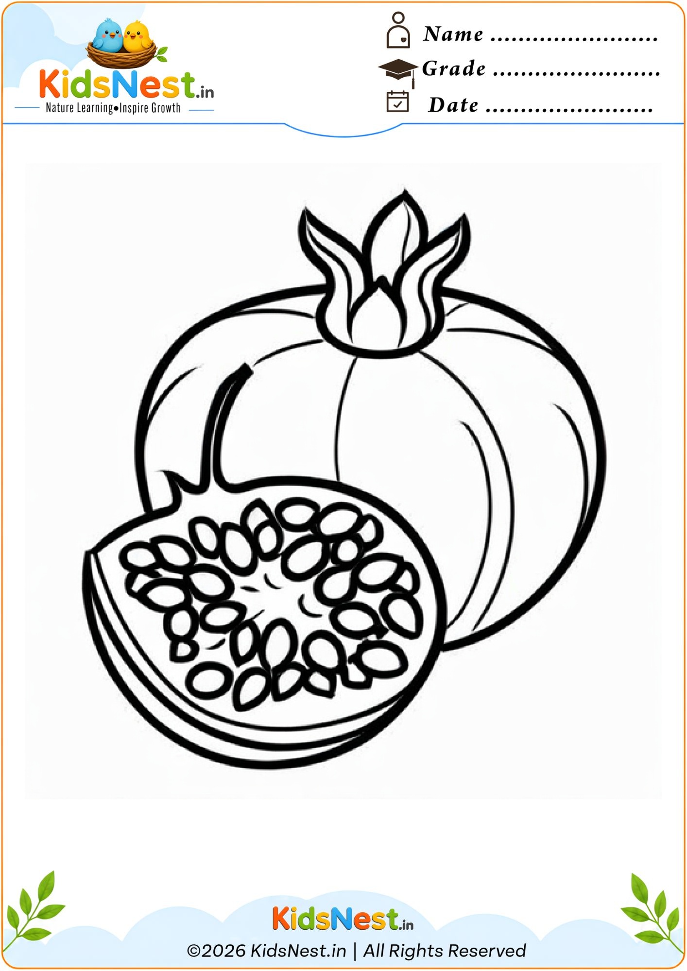 Printable Pomegranate Coloring Worksheet for Kids | Fun Learning
