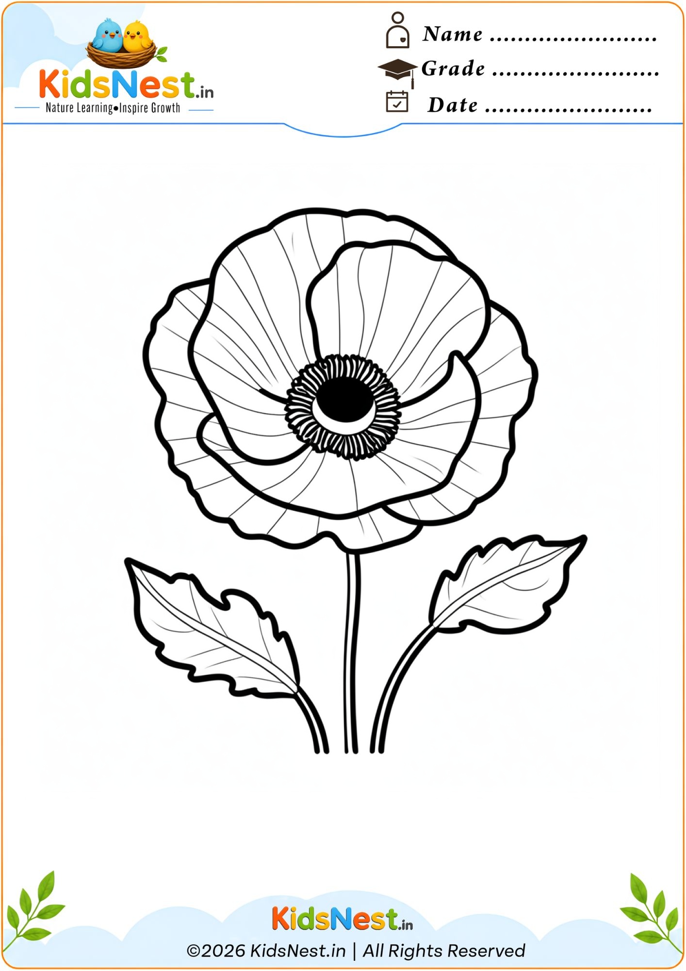 Poppy Flower Coloring Page for Kids | Free Printable PDF