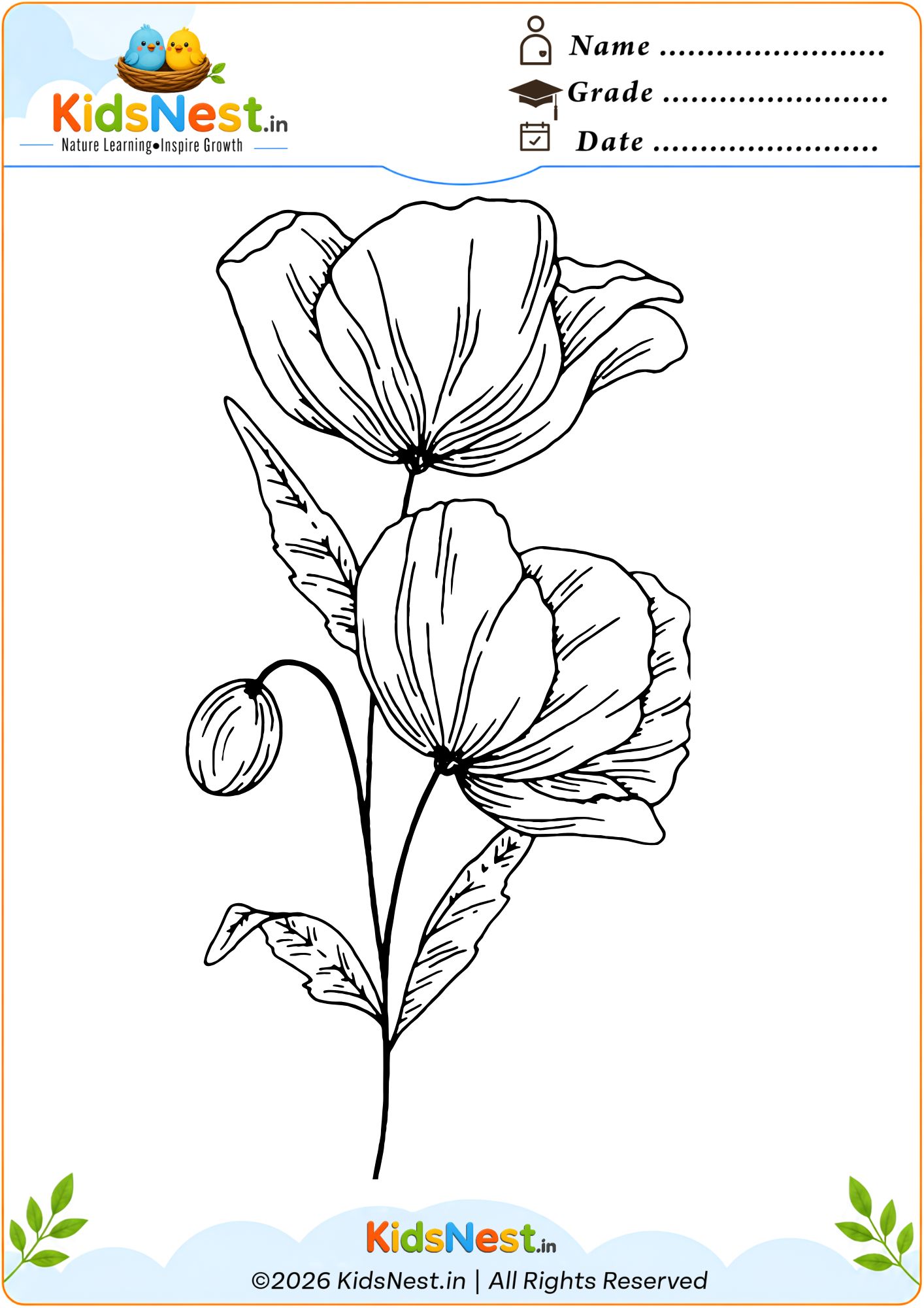 Poppy Flower Coloring Worksheet for Kids | Free Printable