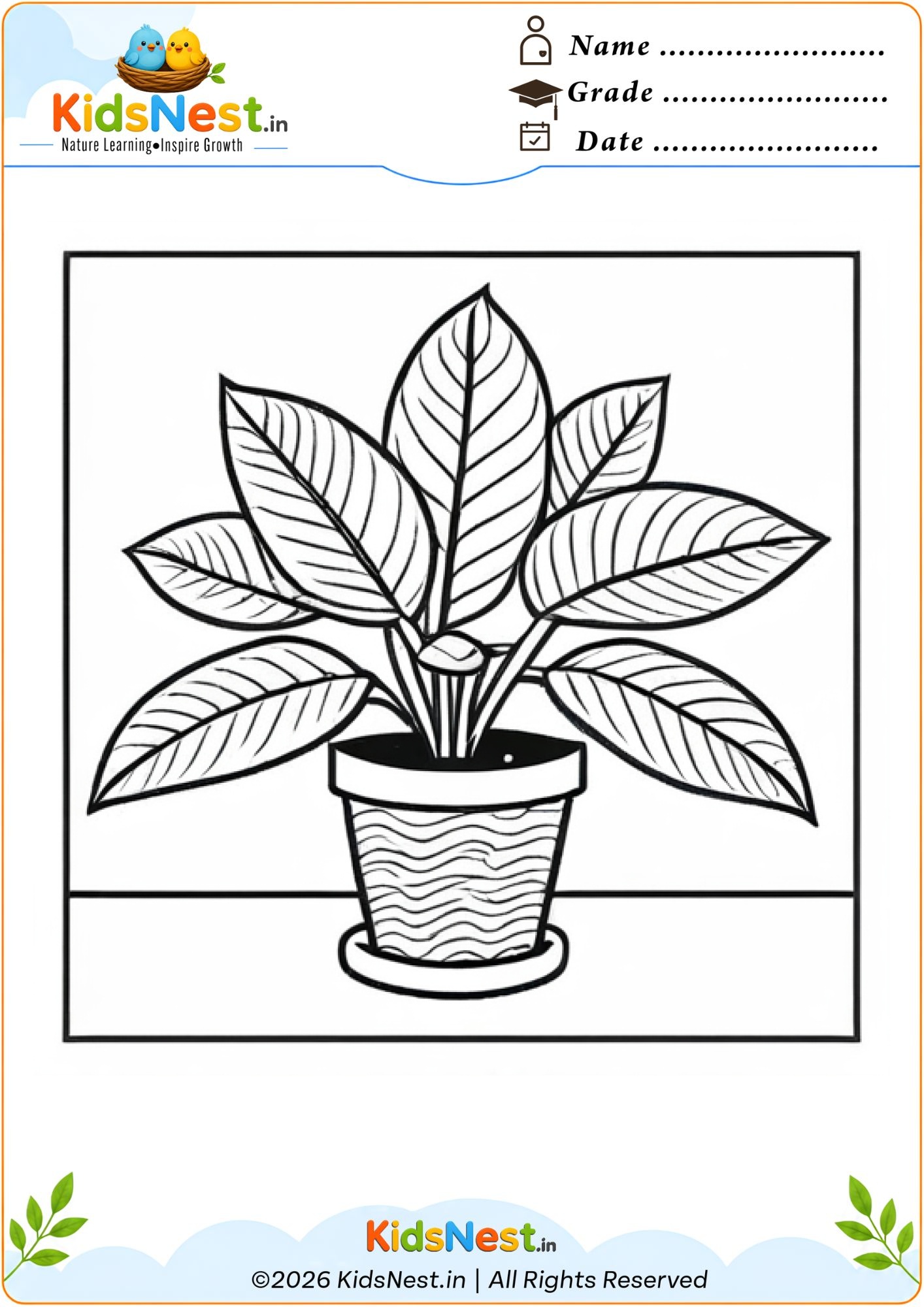 Potted Plant Coloring Worksheet for Kids | Free Printable