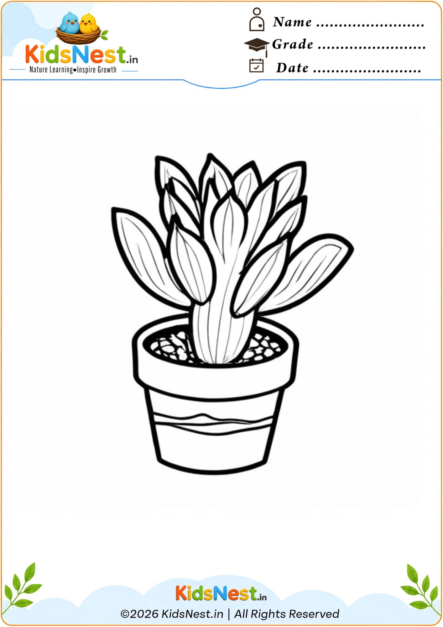 Potted Succulent Coloring Page for Kids | Free Printable