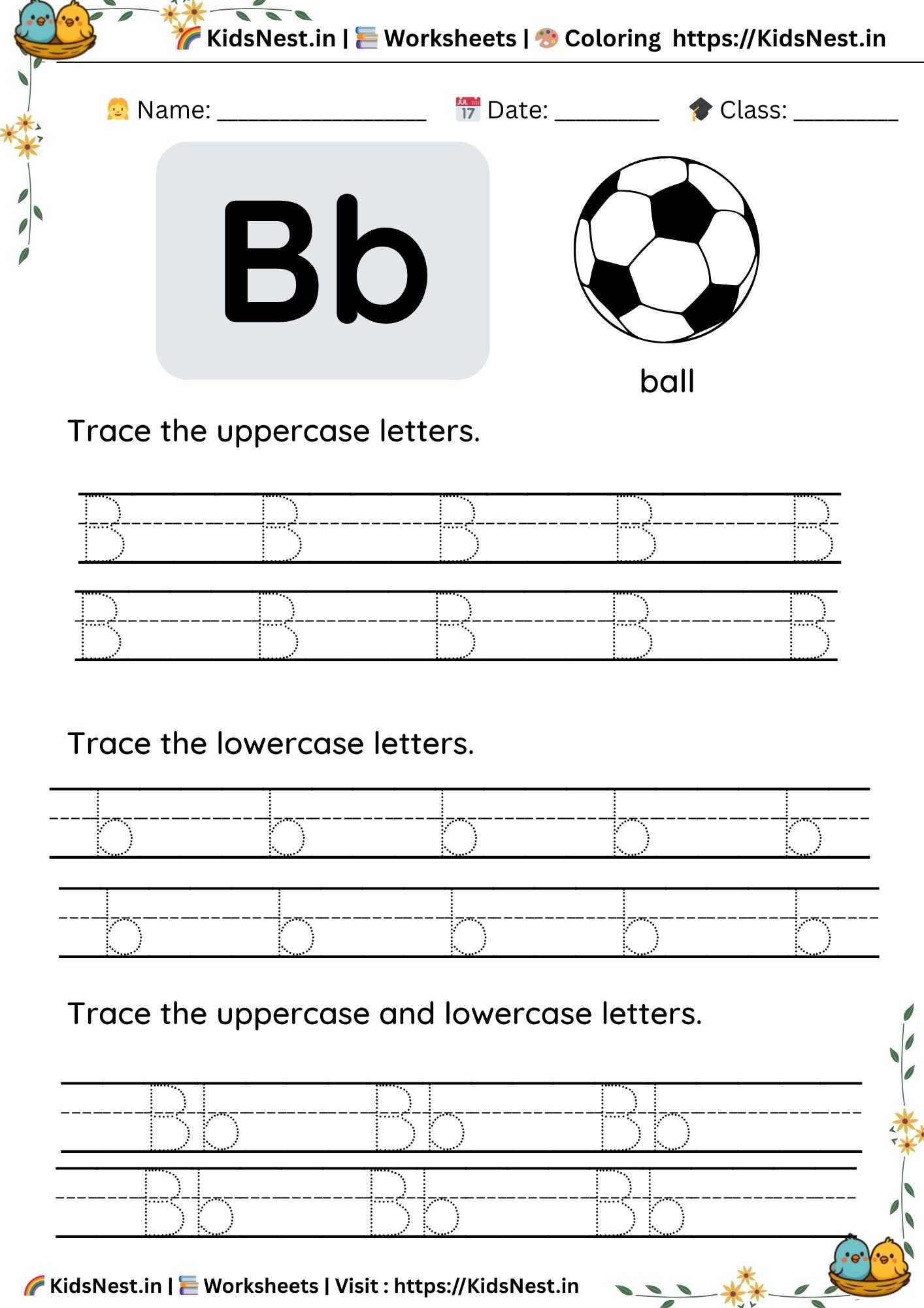 Letter Bb Tracing Worksheet for Preschoolers | Printable