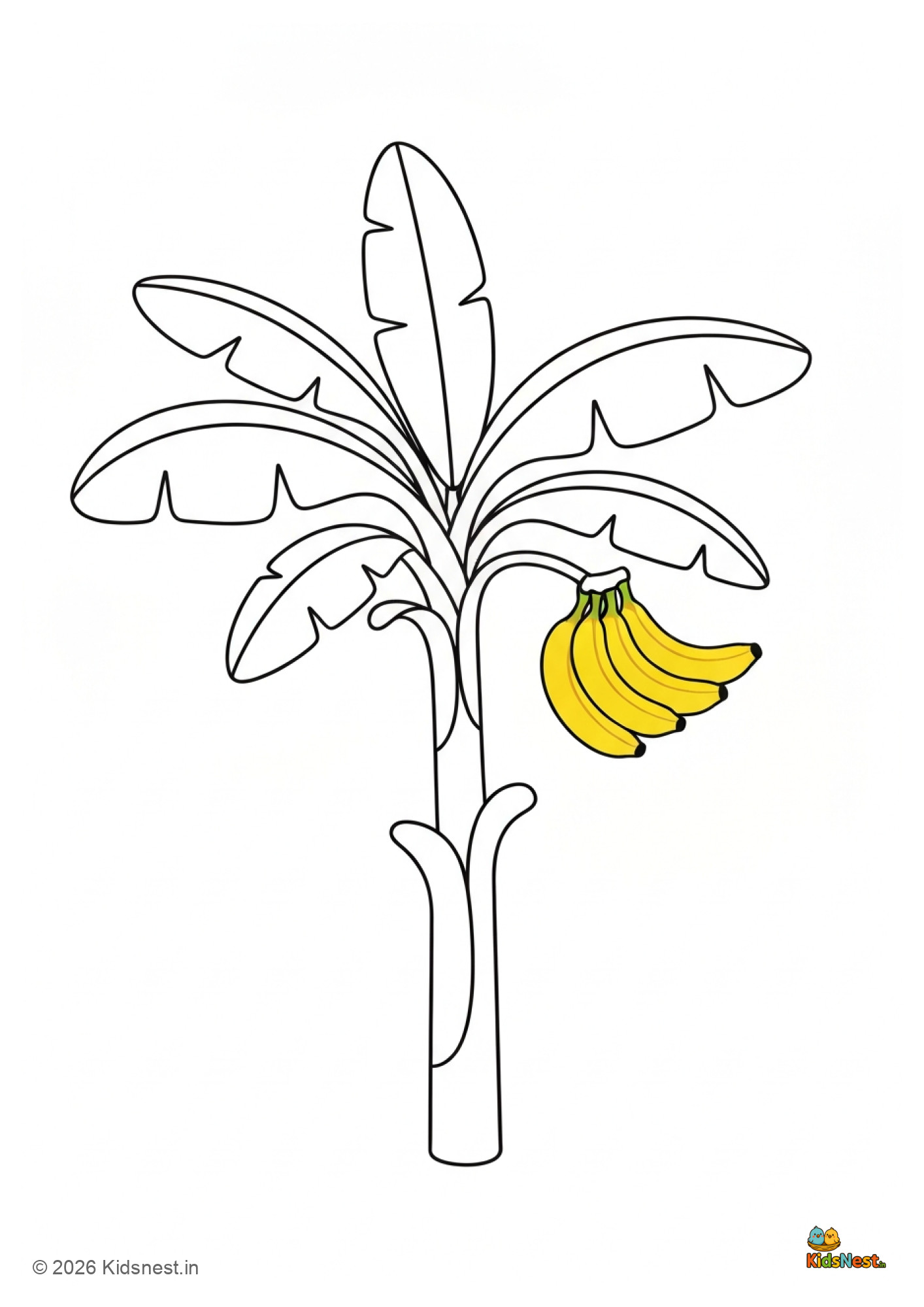 Printable Banana Tree Coloring Page for Kids | Free PDF