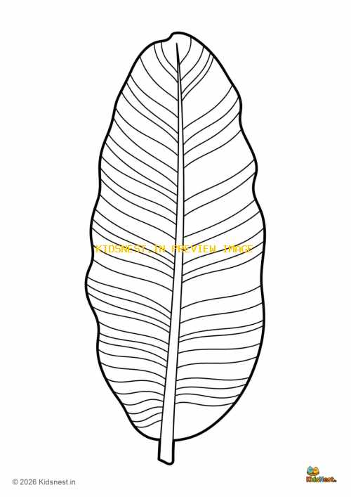 Printable Banana Tree Leaf Coloring Page for Kids | Free PDF