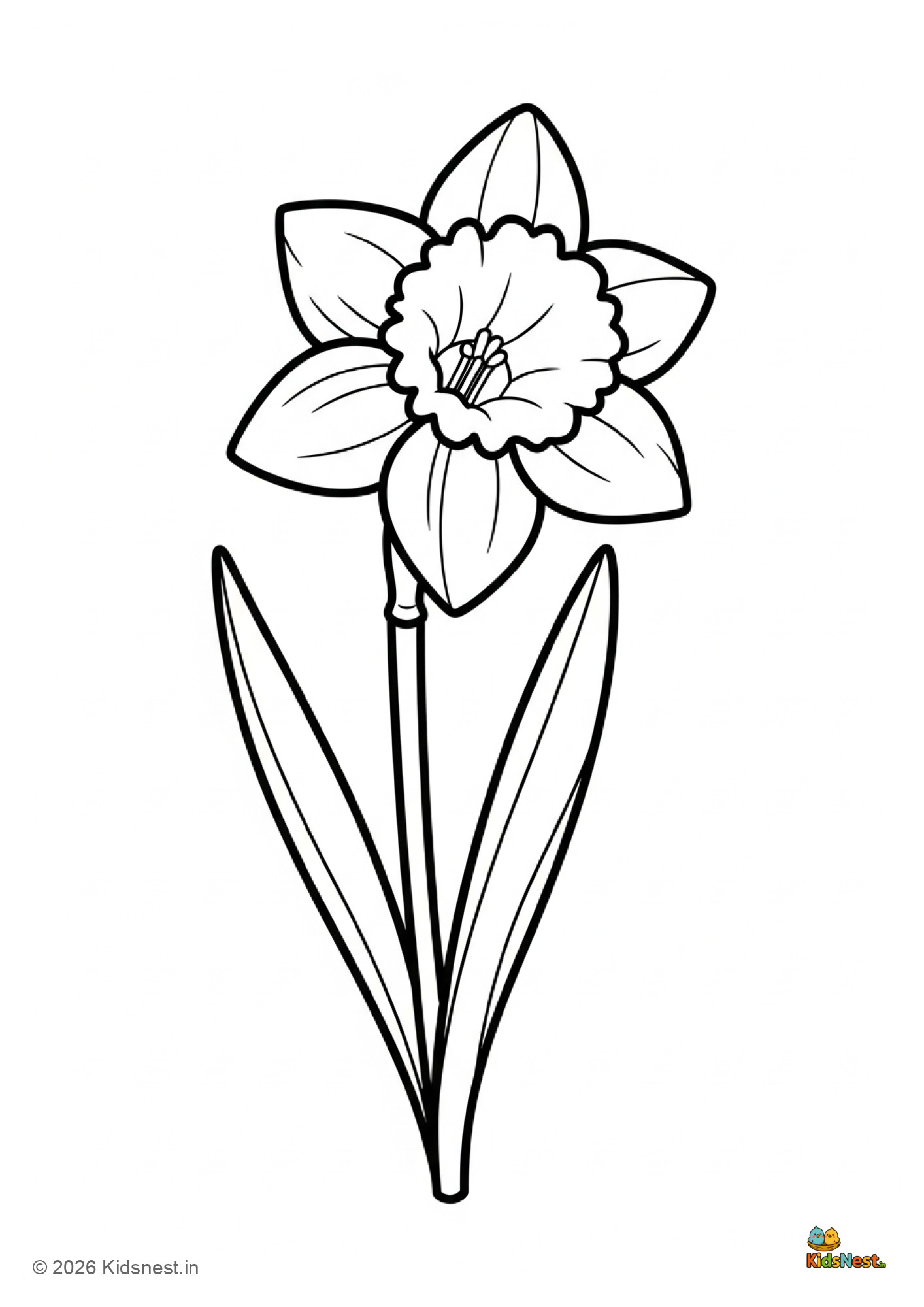 Printable Daffodil Flower Coloring Page for Kids