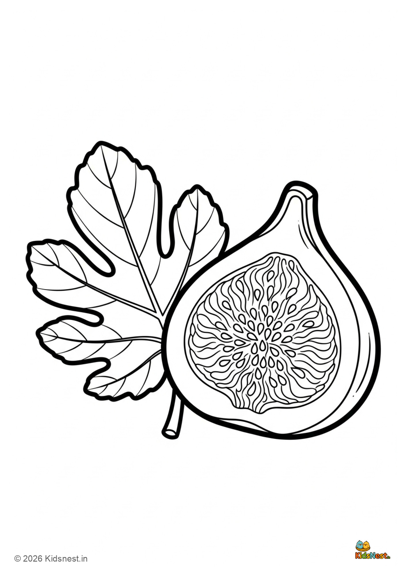 Printable Fig Coloring Page for Kids | Free Fruit Worksheet
