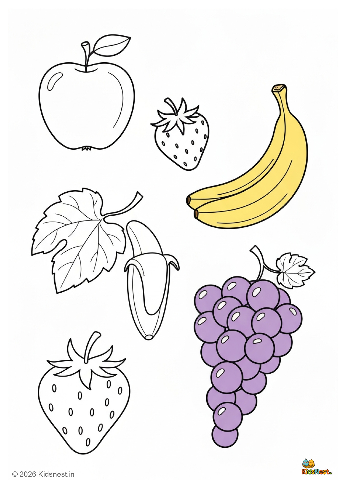 Printable Fruits Educational Chart for Kids | Free Worksheet