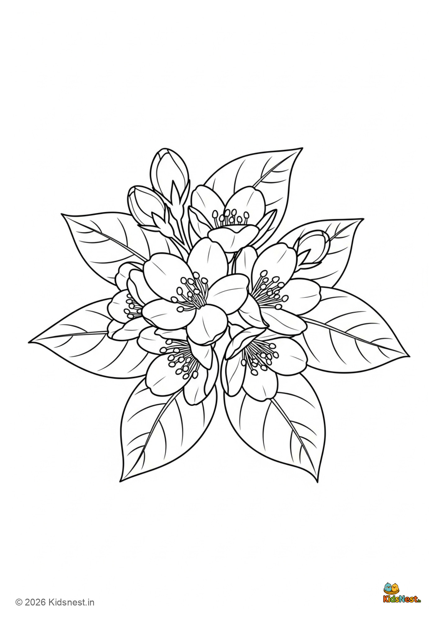 Printable Jasmine Flower Coloring Page for Kids | Free PDF