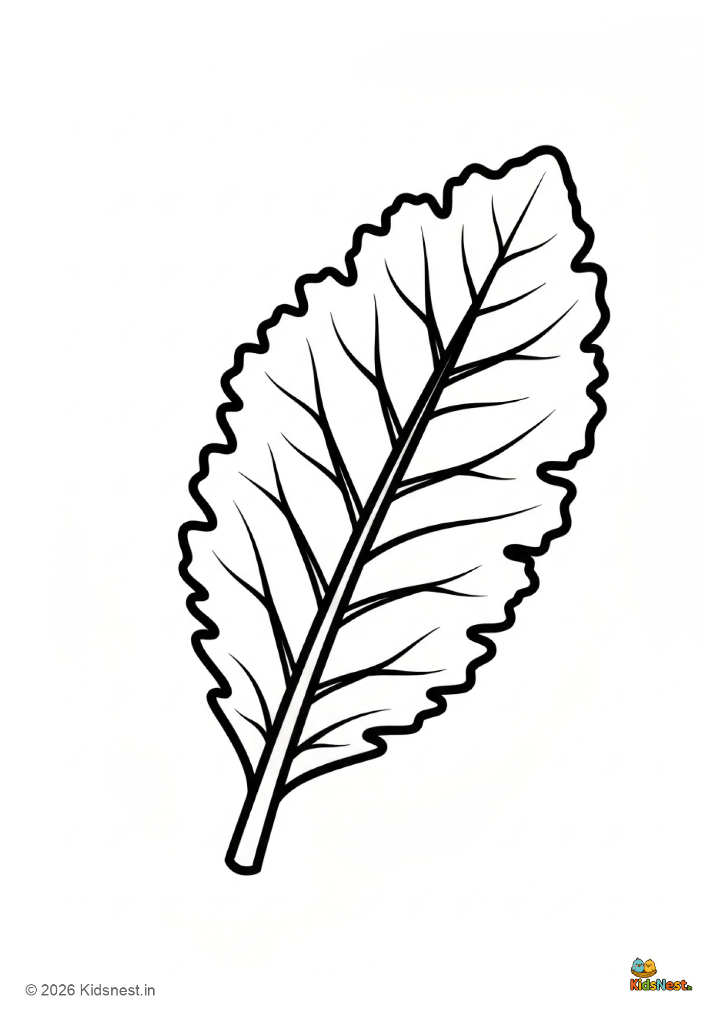 Printable Kale Vegetable Coloring Page for Kids | Free PDF