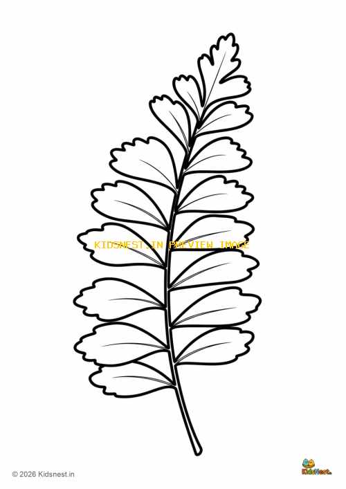 Printable Maidenhair Fern Leaf Coloring Page for Kids