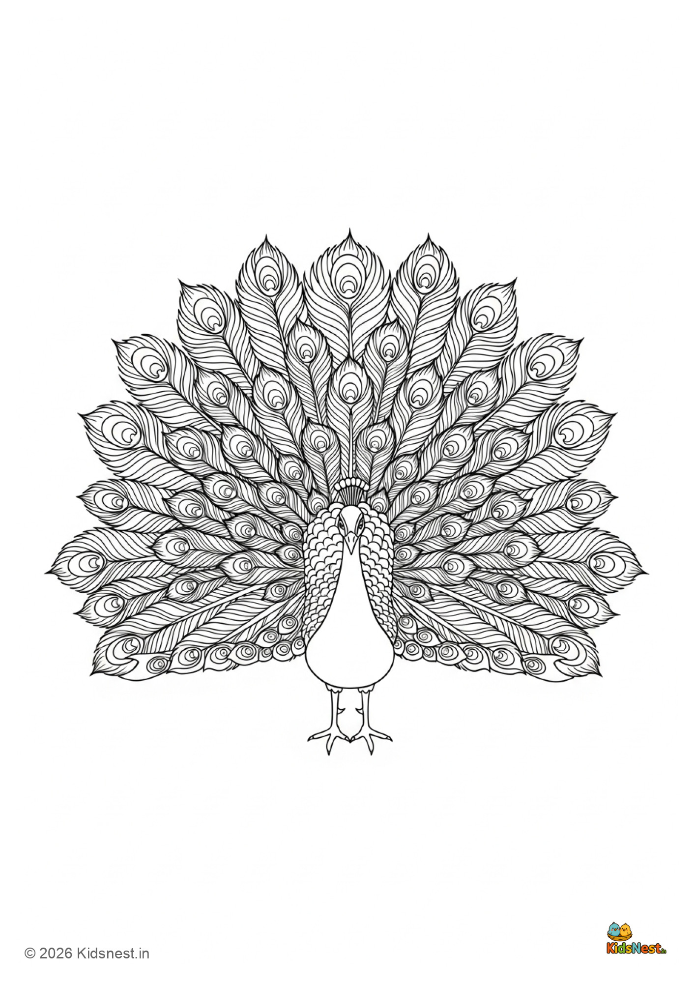 Printable Peacock Coloring Page for Kids | Free Fun Activity