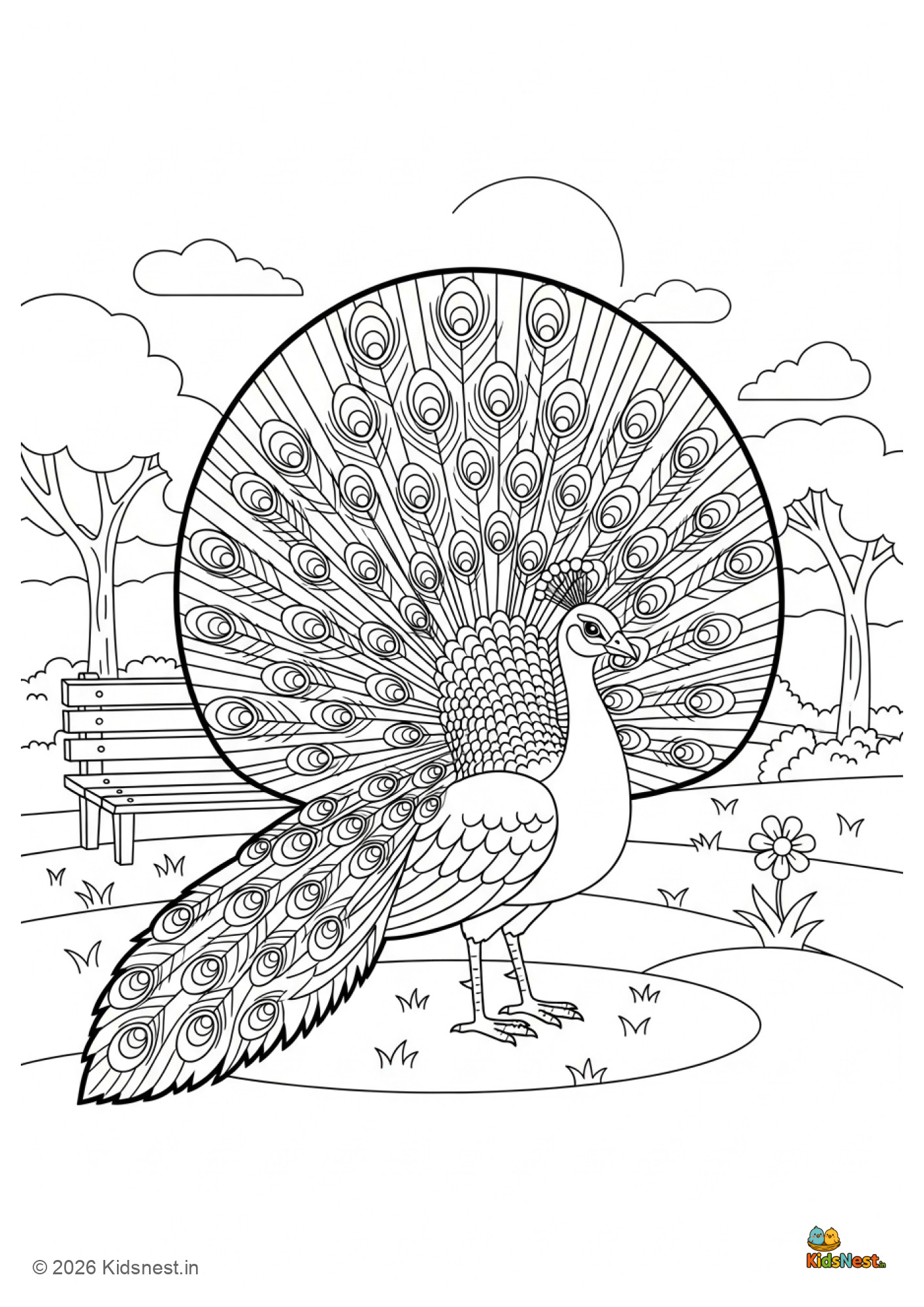 Printable Peacock in Park Coloring Page for Kids | Free PDF