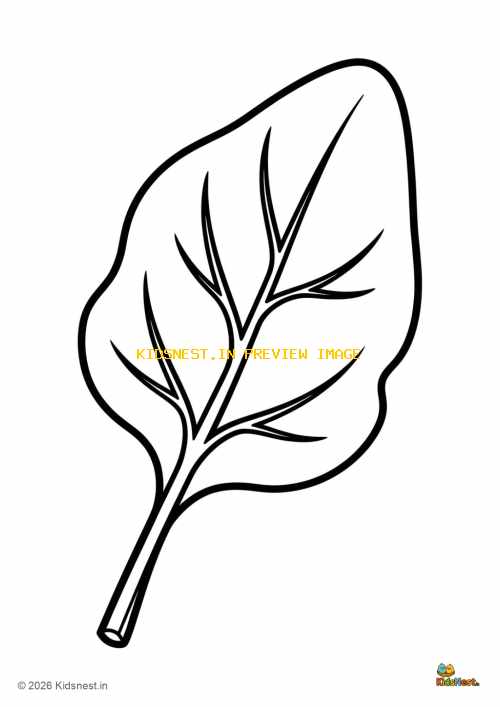 Printable Spinach Leaf Coloring Page for Kids | Educational Art
