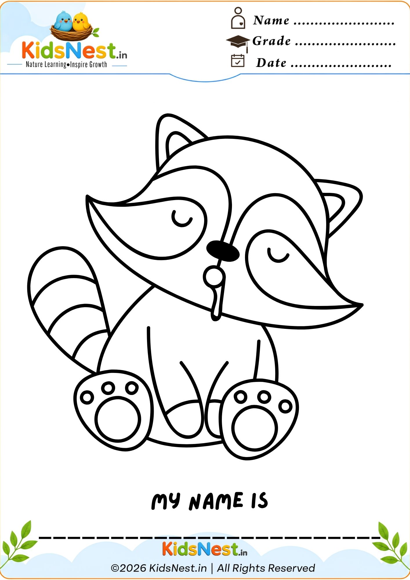 Printable Raccoon Coloring Worksheet for Kids | Free PDF