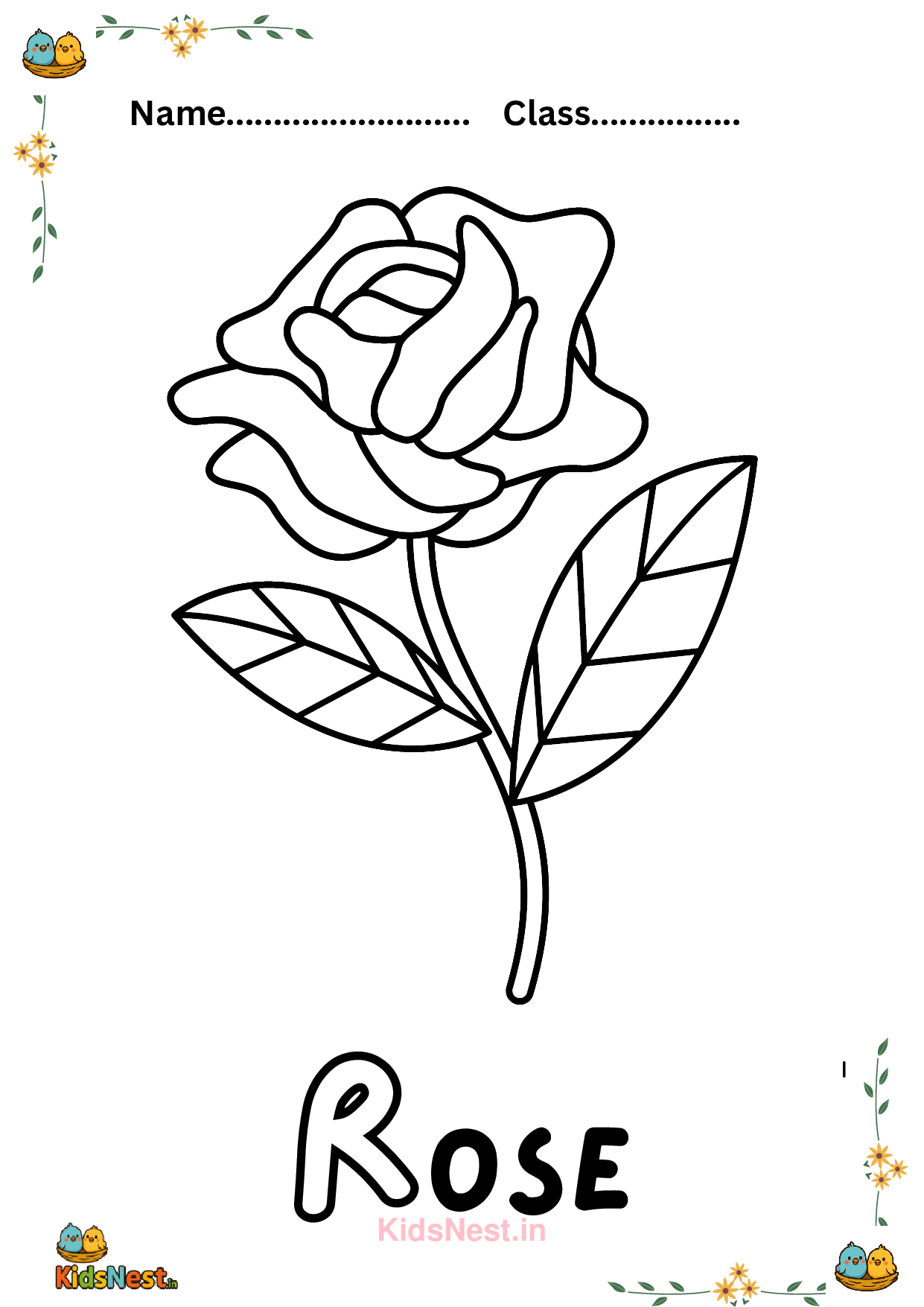Red Rose Coloring Page & Fun Facts for Kids | Printable Activity