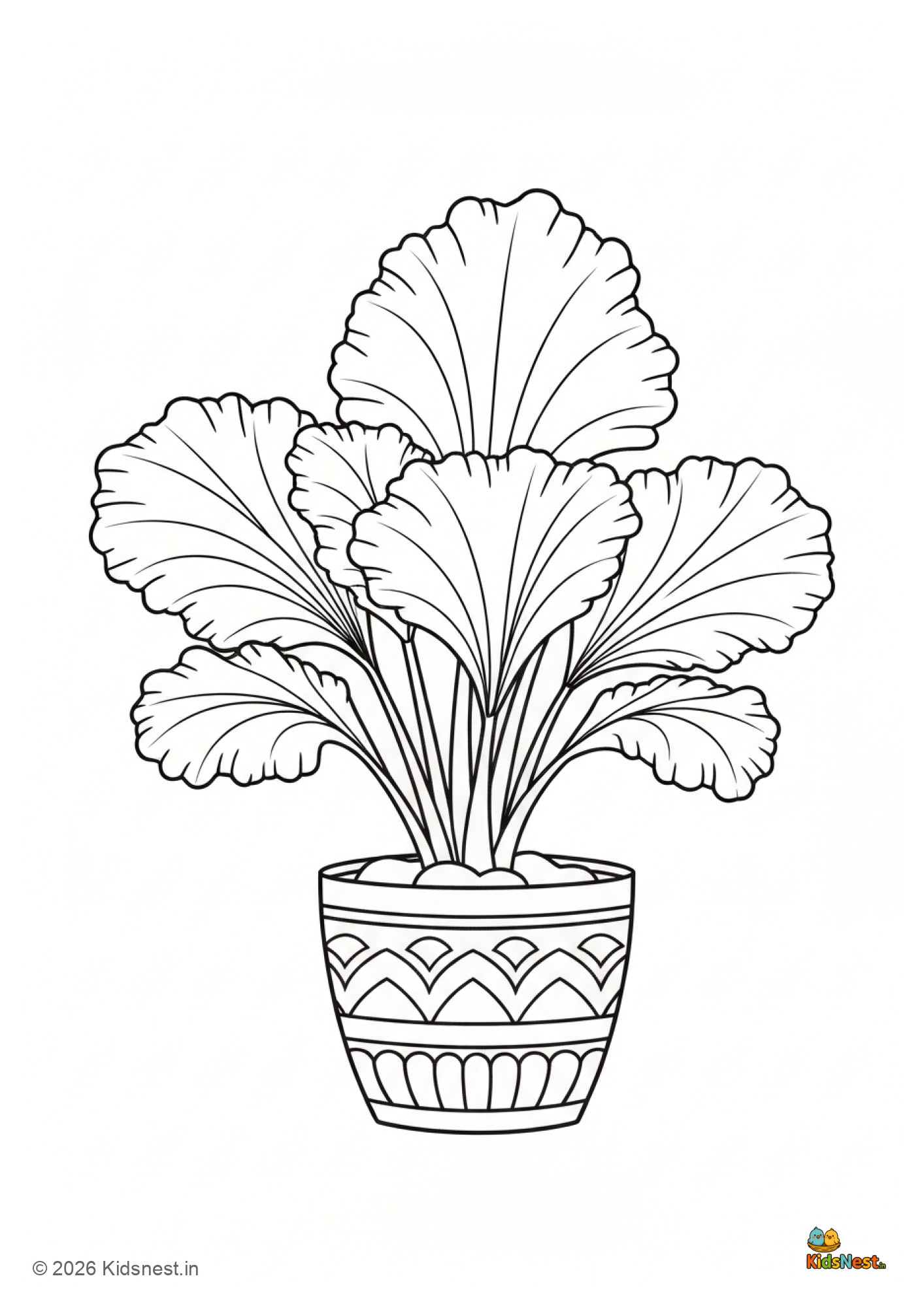 Ruffled Fan Plant Coloring Page for Kids | Free Printable