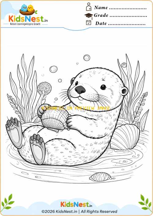 Cute Otter with Seashell Coloring Page | Free Printable for Kids