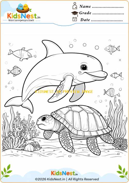 Dolphin and Turtle Coloring Page | Free Printable for Kids