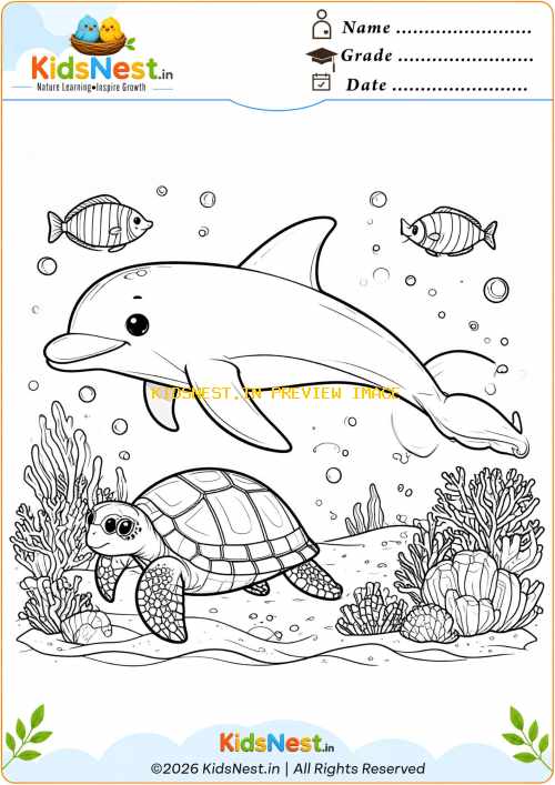 Dolphin and Turtle Coloring Page | Free Printable for Kids