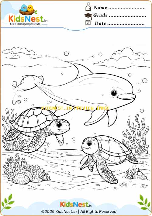 Printable Sea Animal Coloring Page: Dolphin & Turtles for Kids