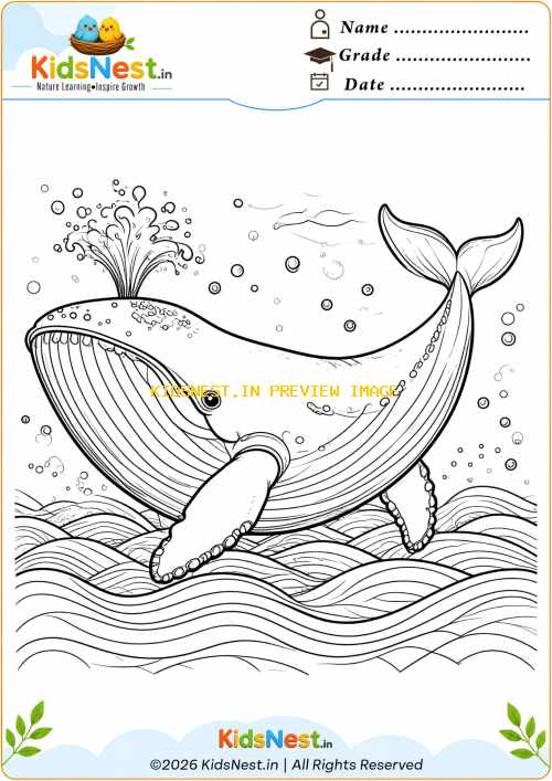 Free Humpback Whale Coloring Page for Kids | Printable PDF