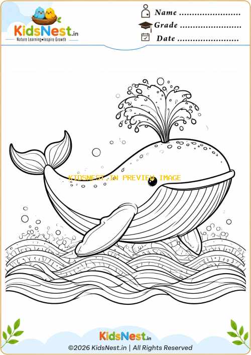 Whale Spouting Water Coloring Page | Printable Sea Animal Art