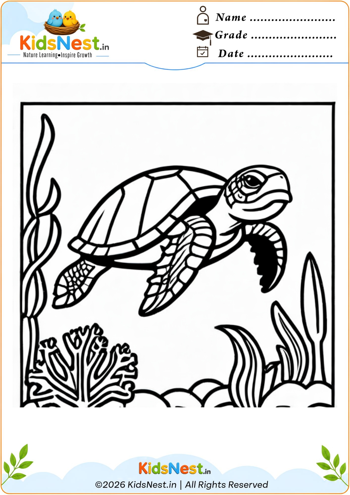 Free Sea Turtle Coloring Worksheet for Kids | Printable PDF