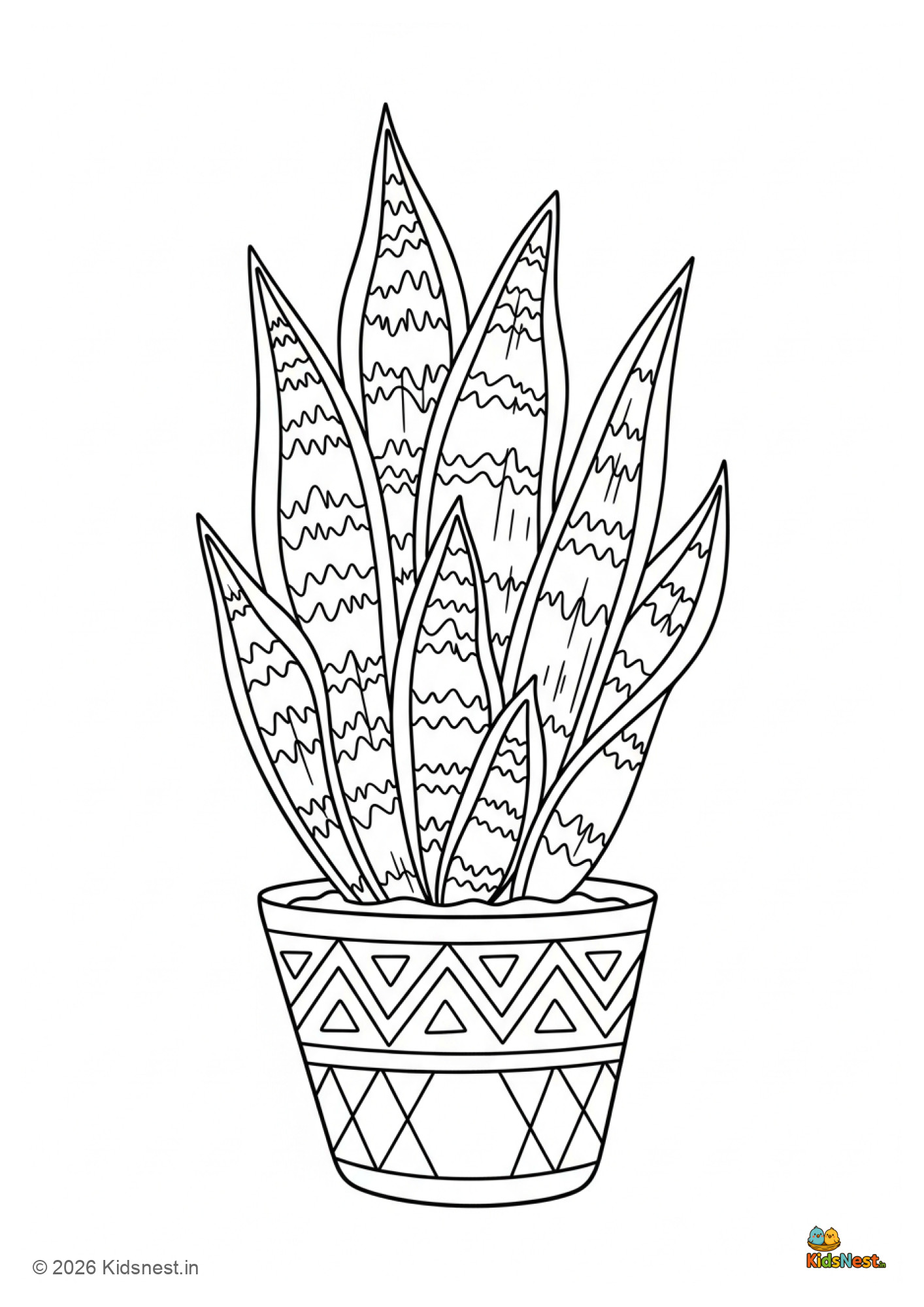 Snake Plant Coloring Page for Kids | Free Printable Worksheet