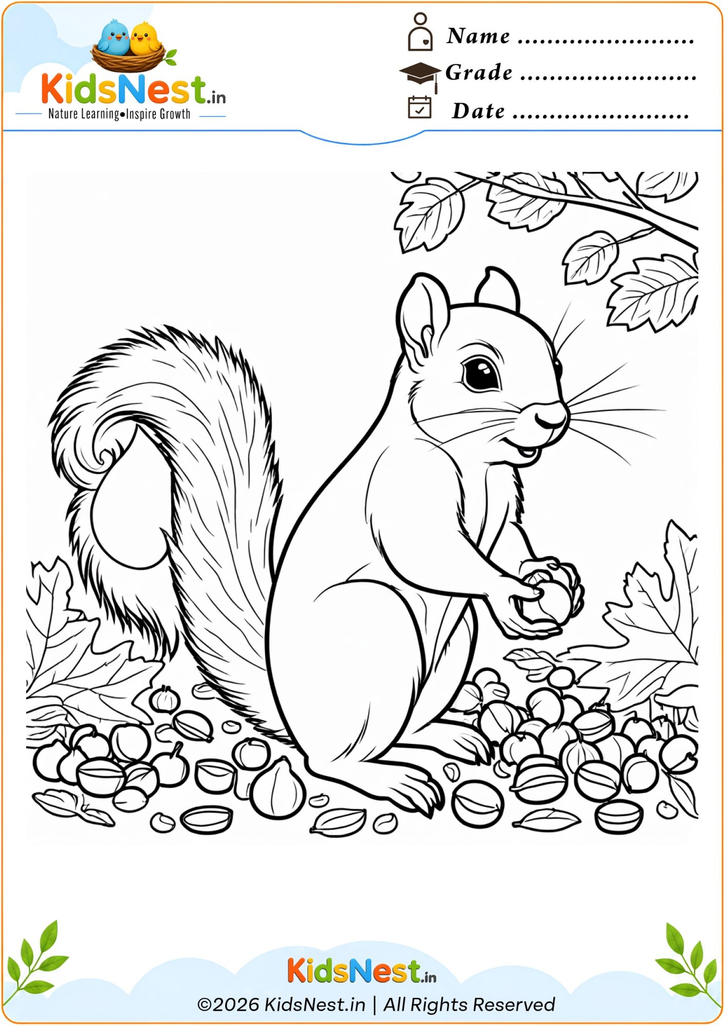 Printable Squirrel Coloring Page with Nuts for Kids
