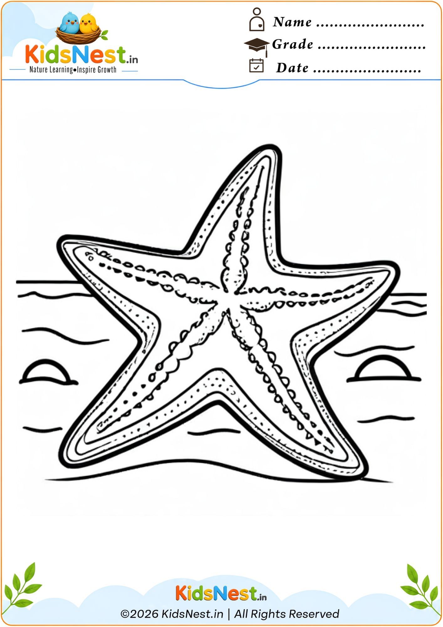 Free Starfish Coloring Worksheet for Kids | Printable PDF