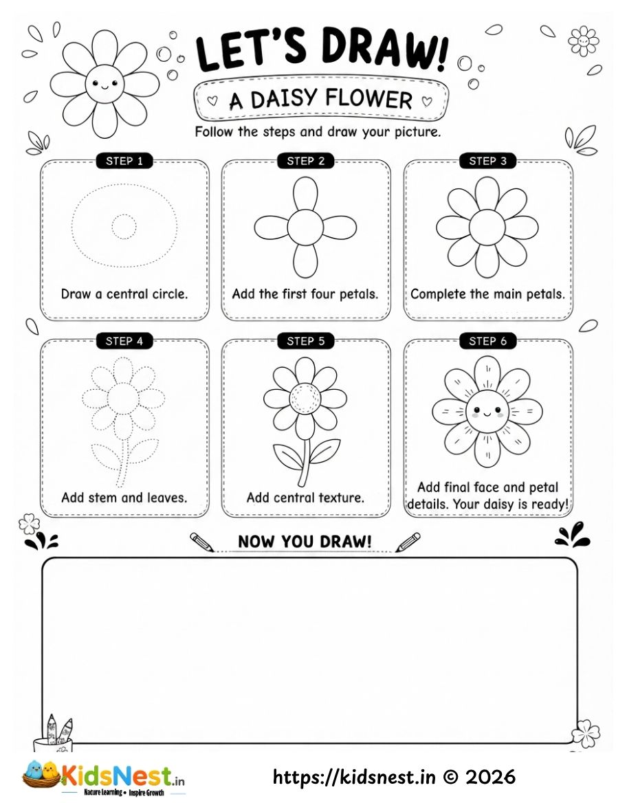 How to Draw a Daisy: Step-by-Step Drawing Tutorial for Kids