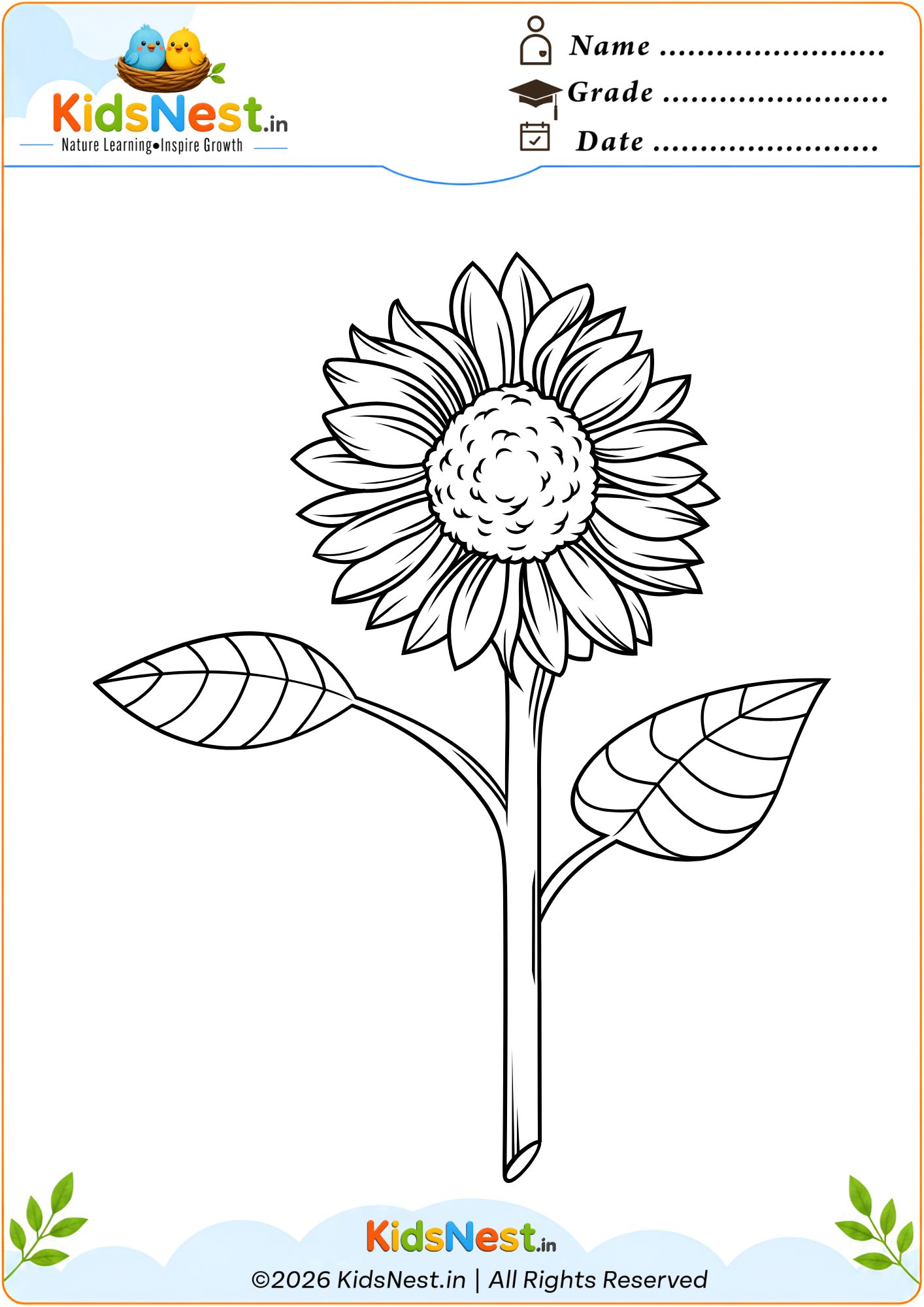Sunflower Coloring Worksheet for Kids | Free Printable PDF