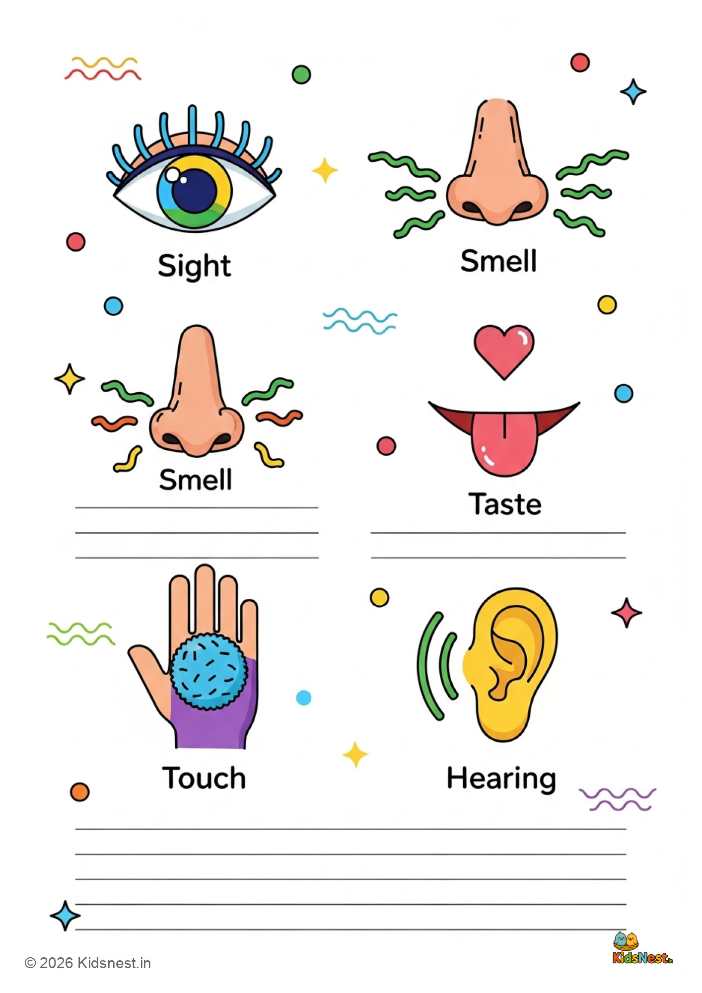 The Five Senses Worksheet for Kids | Free Printable Activity