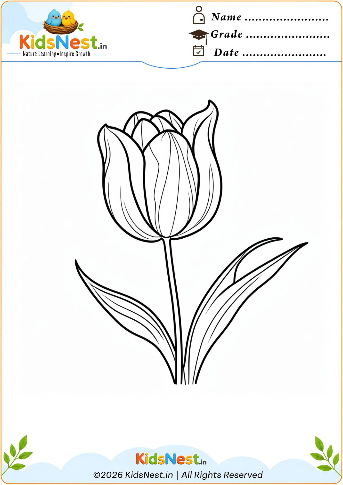 Free Printable Tulip Flower Coloring Page for Kids