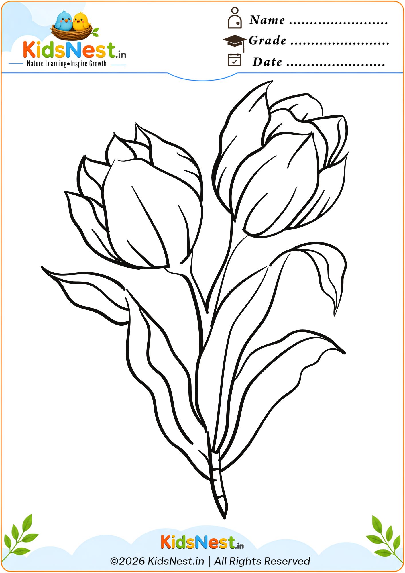 Free Tulip Flower Coloring Worksheet for Kids | Printable PDF