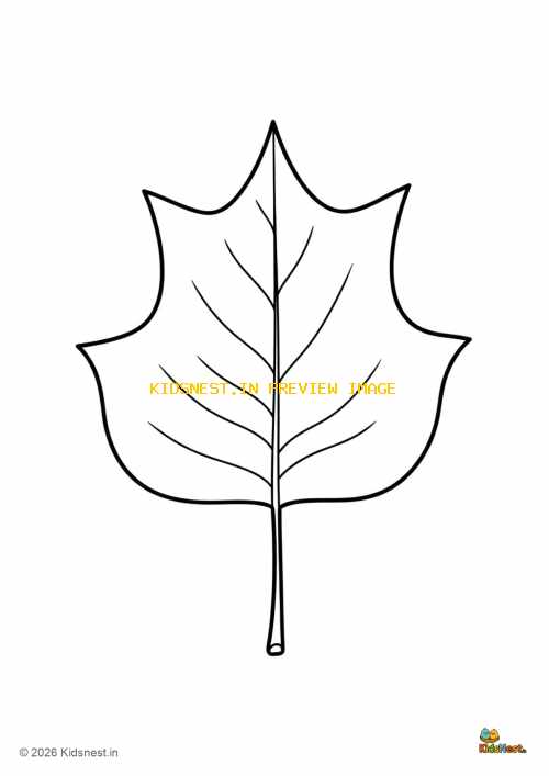 Tulip Tree Leaf Coloring Page for Kids | Printable Worksheet
