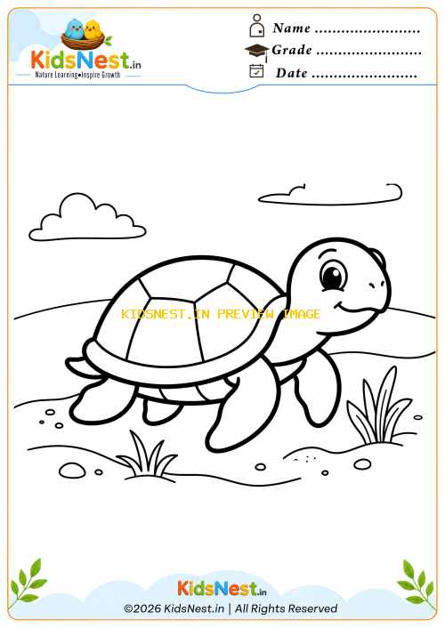 Free Printable Turtle Coloring Sheet for Kids | Educational Fun