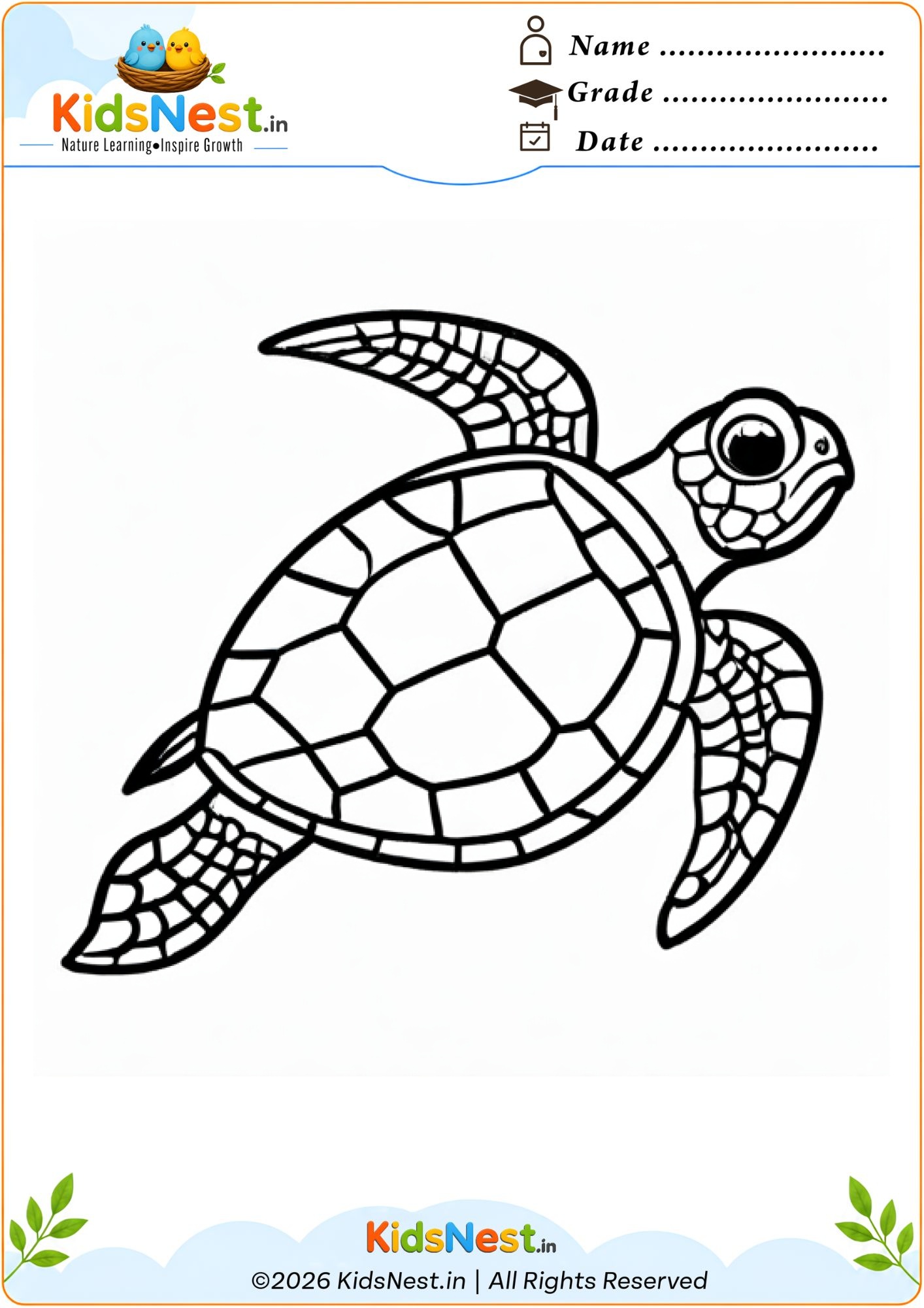 Free Printable Turtle Coloring Worksheet for Kids