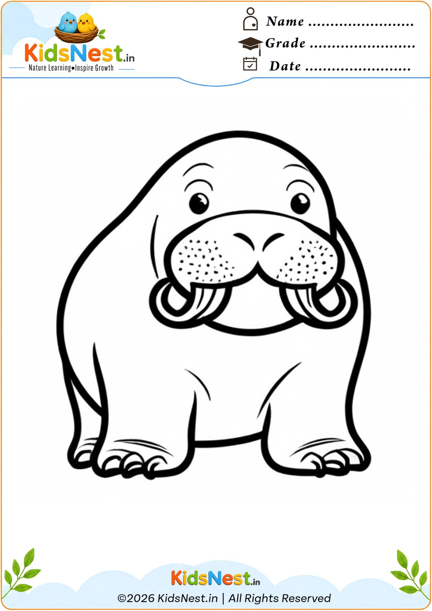 Free Walrus Coloring Worksheet for Kids | Printable PDF