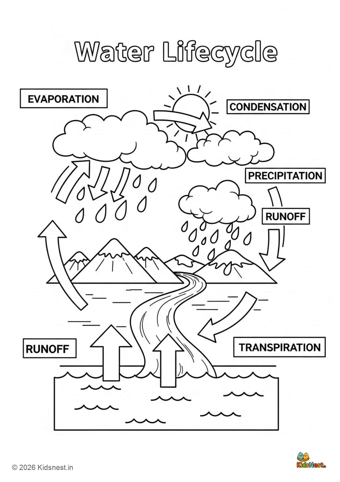 Water Cycle Worksheet for Kids | Free Printable Activity