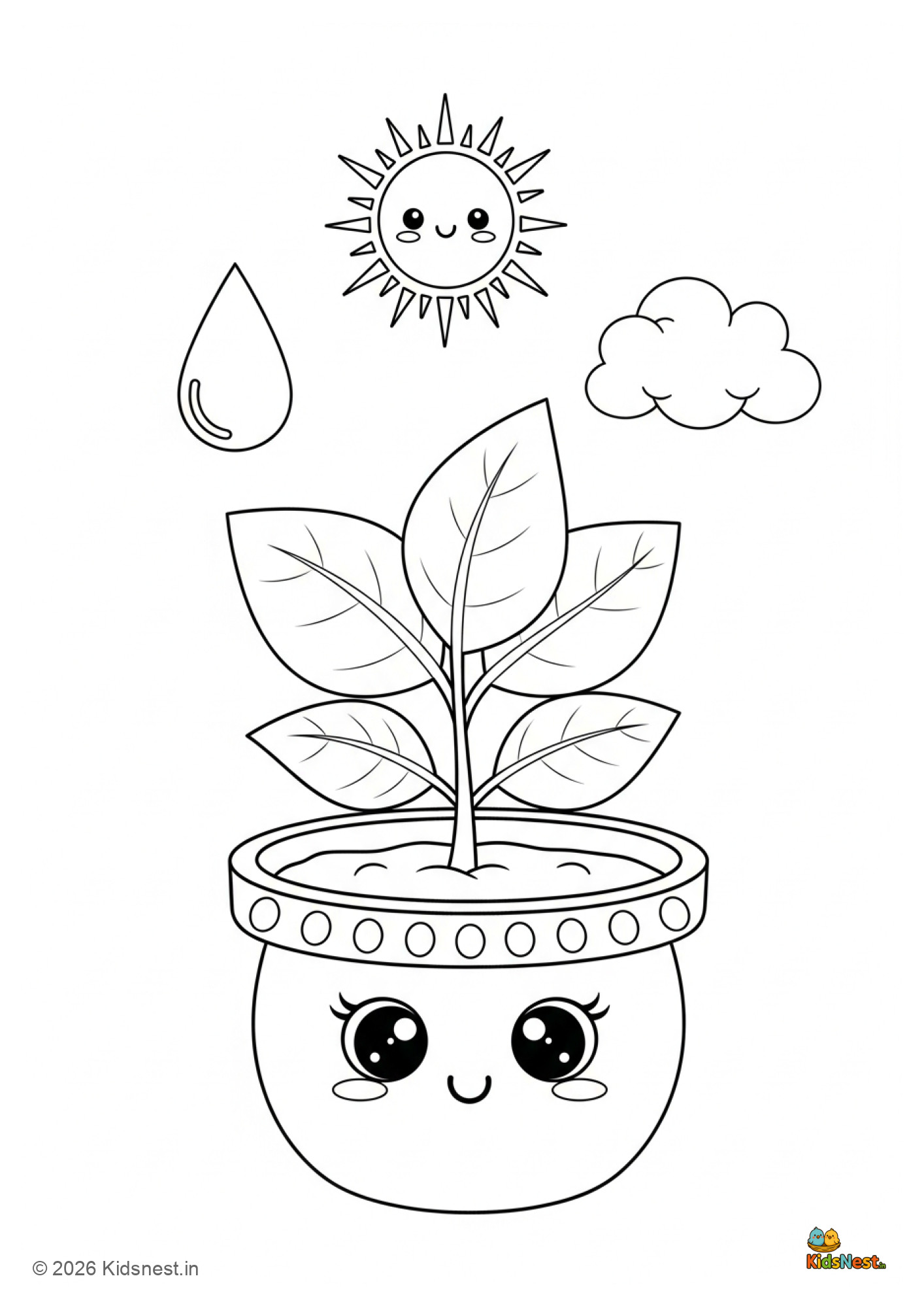 What Does a Plant Need? Printable Worksheet for Kids